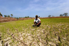 PM demands Mekong Delta freshwater scarcity is tackled