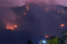 Forest fire breaks out in An Giang