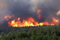 Man dies in Quang Binh forest fire