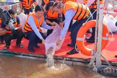 200,000 fish released to Tien River