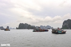 Ha Long and Bai Tu Long bays visiting hours extended