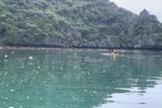 Ha Long Bay pollution discourages foreign tourists