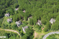 Villas left abandoned in Da Lat pine forest