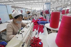 European firms hope for Vietnam’s continuous policy adjustments: EuroCham survey