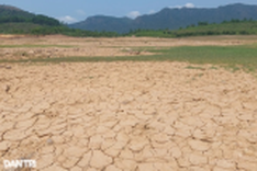 Many reservoirs in Binh Dinh dry up