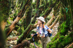 Pristine beauty of Ta Xua mountain peak