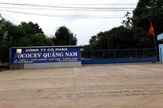 Two workers in Quang Nam die in biogas tank accident
