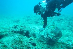 Plastic waste collection campaign launched at Ly Son Island