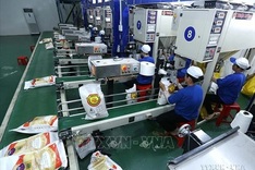 Rice exporters advised to design strategy suitable to particular markets