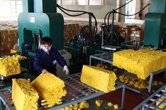 Vietnam among largest rubber suppliers to Japan