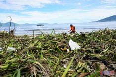 Rubbish blankets Danang beaches after storm