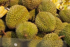 Vietnam to hold first fruit festival in Beijing