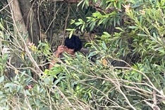 Young man survives days after being swept away by floodwaters