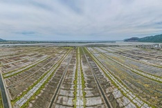 Ha Tinh farmers turn away from salt making