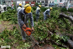 HCM City helps Hanoi to handle typhoon-hit trees