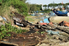 Rubbish covers Danang bay