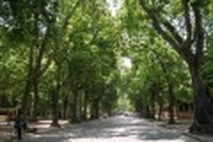 Hanoi says goodbye to summer's heat