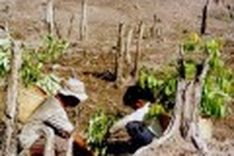 Communities get involved in conservation efforts with ADB backing