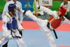 ASIAD-16: Vietnam carries off 22 medals