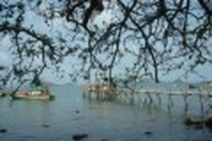 A whale of a time at Nhum Ba Island