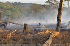 Course helps rangers combat wildlife crime