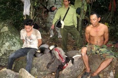 Experts warn about wave of wildlife extinction