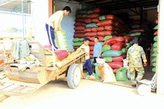 Coffee growers in Dak Lak in trouble