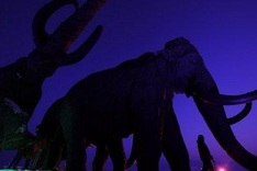 S.Korean, Russian scientists bid to clone mammoth
