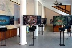 Climate change art in the spotlight