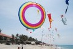 Kites add colour to Cua Dai Beach