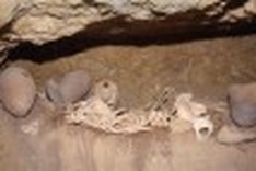 Pyramids may have been built by free men, not slaves