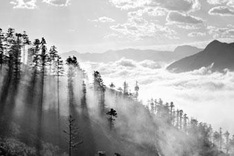 Foggy Sapa