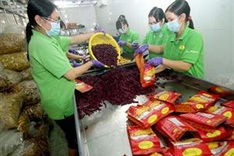 New law drafted to fuel boom in SMEs