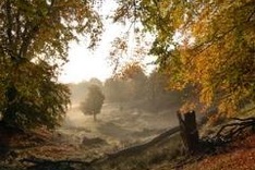 Southeast Asian filmmaking contest on water launched