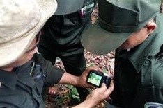 Đà Nẵng to supervise wildlife with camera traps