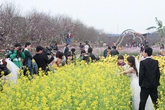 Young Hanoians descend on flower villages for photo shoots