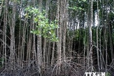 Biodiversity conservation comes under spotlight