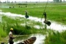 Climate change seen eating into Vietnam GDP