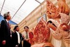 Thang Long Royal Citadel opened for public visitors
