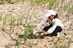 North prepares for drought