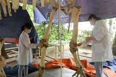 Nature Museum adds new exhibition hall