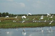 Water tours draw flood of visitors