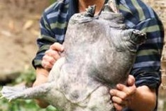 Visiting the land of the giant turtles