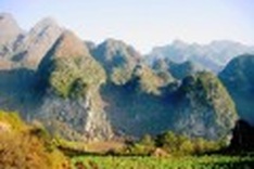 Dong Van stone plateau popular with visitors