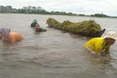 Scientists want climate plans changed