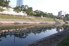 Aquatic rafts aim to clean Hanoi river