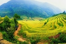 Buon Ma Thuot Culture Week set for December