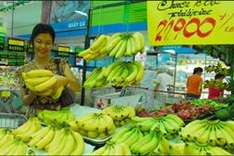 Opportunity for banana growers to join global chain