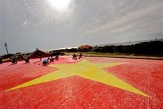 Female artist creates largest ceramic mosaic flag of Vietnam