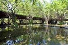 Vietnamese honoured as 21st century architect